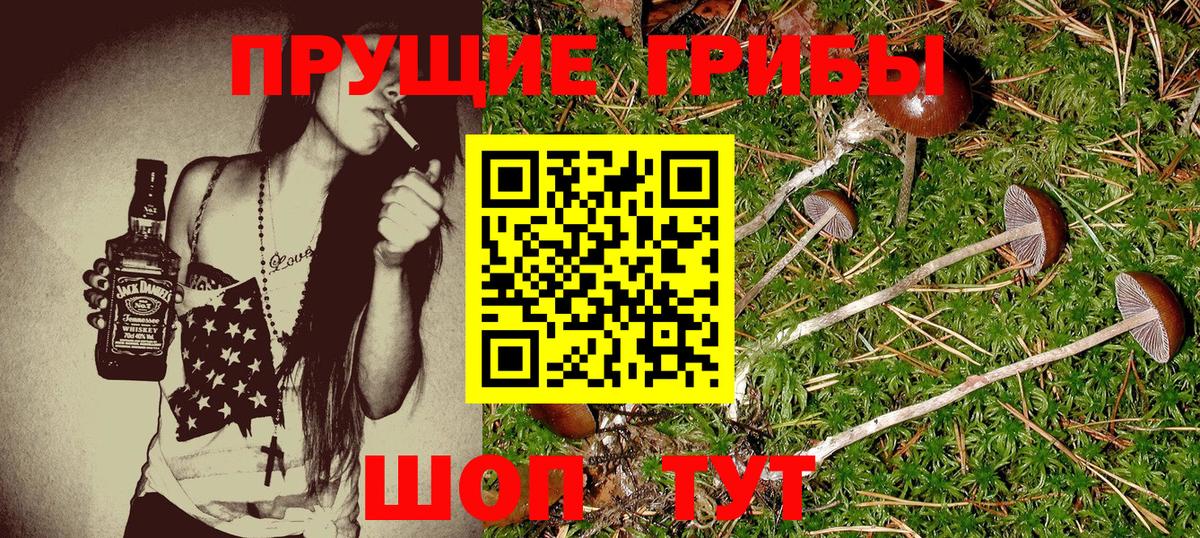 Норильск  Галлюциногенные грибы Cubensis  Вход с VPN 